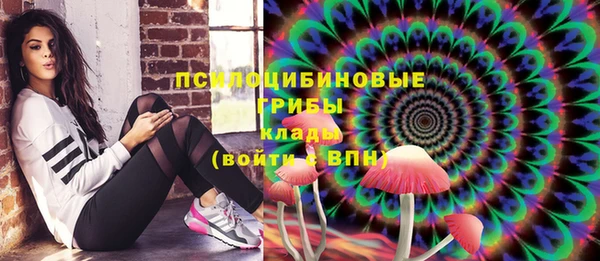 ГАЛЛЮЦИНОГЕННЫЕ ГРИБЫ Абдулино