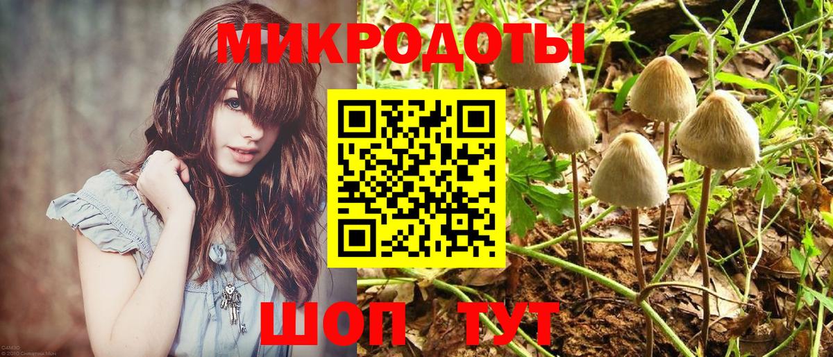 Кострома  Псилоцибиновые грибы MAGIC MUSHROOMS  Вход с VPN  Галлюциногенные грибы Magic Shrooms 